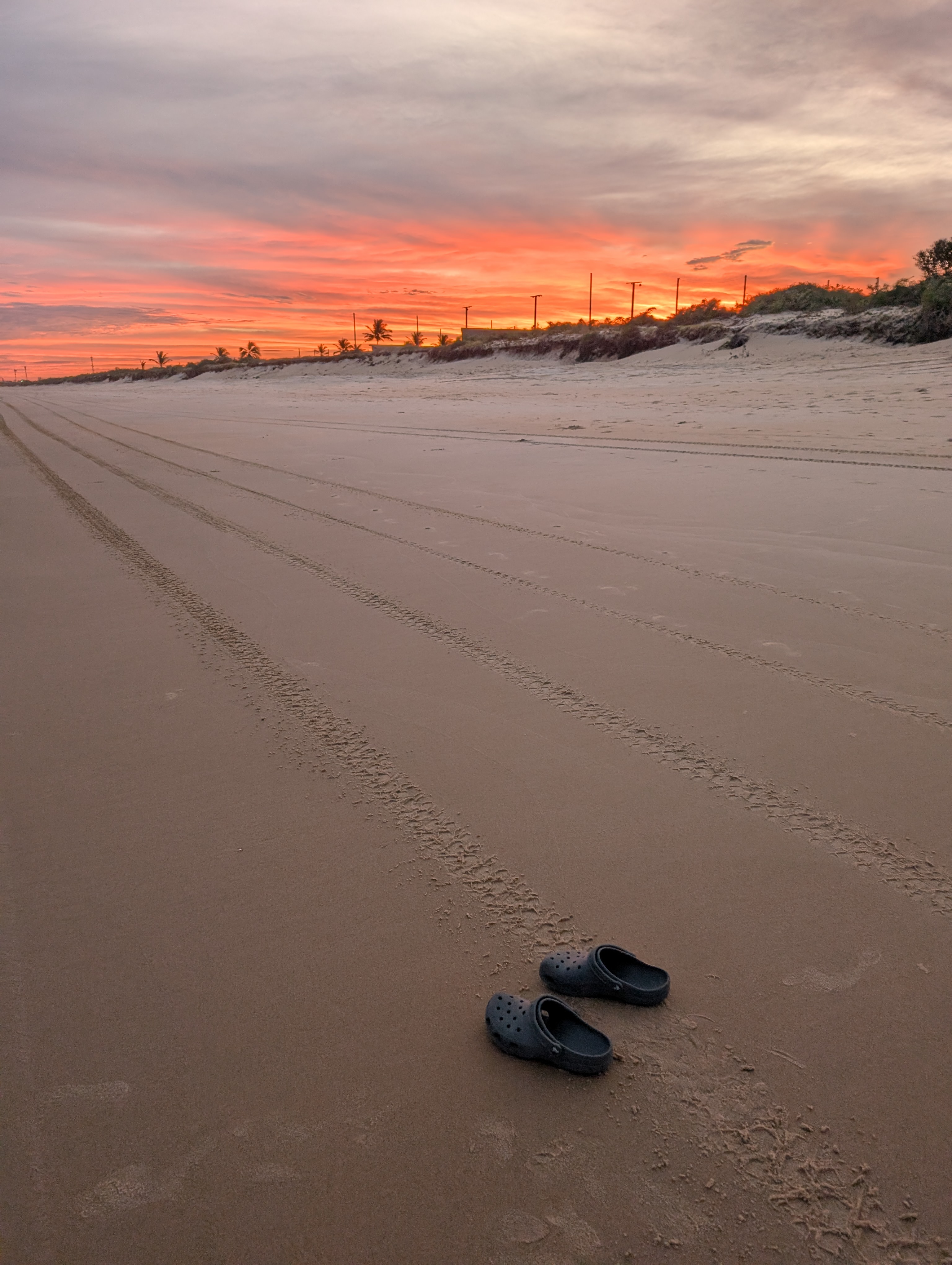 Beach at sunset with light posts and trees